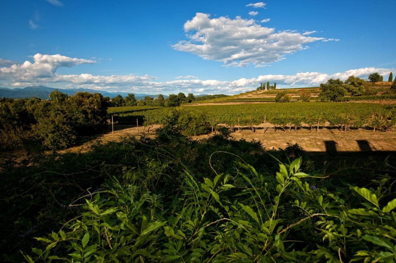 Agriturismo Tra Le Vigne Buttrio ภายนอก รูปภาพ