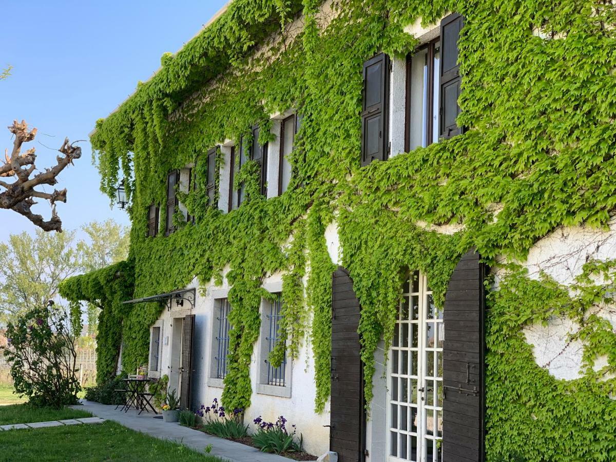 Agriturismo Tra Le Vigne Buttrio ภายนอก รูปภาพ